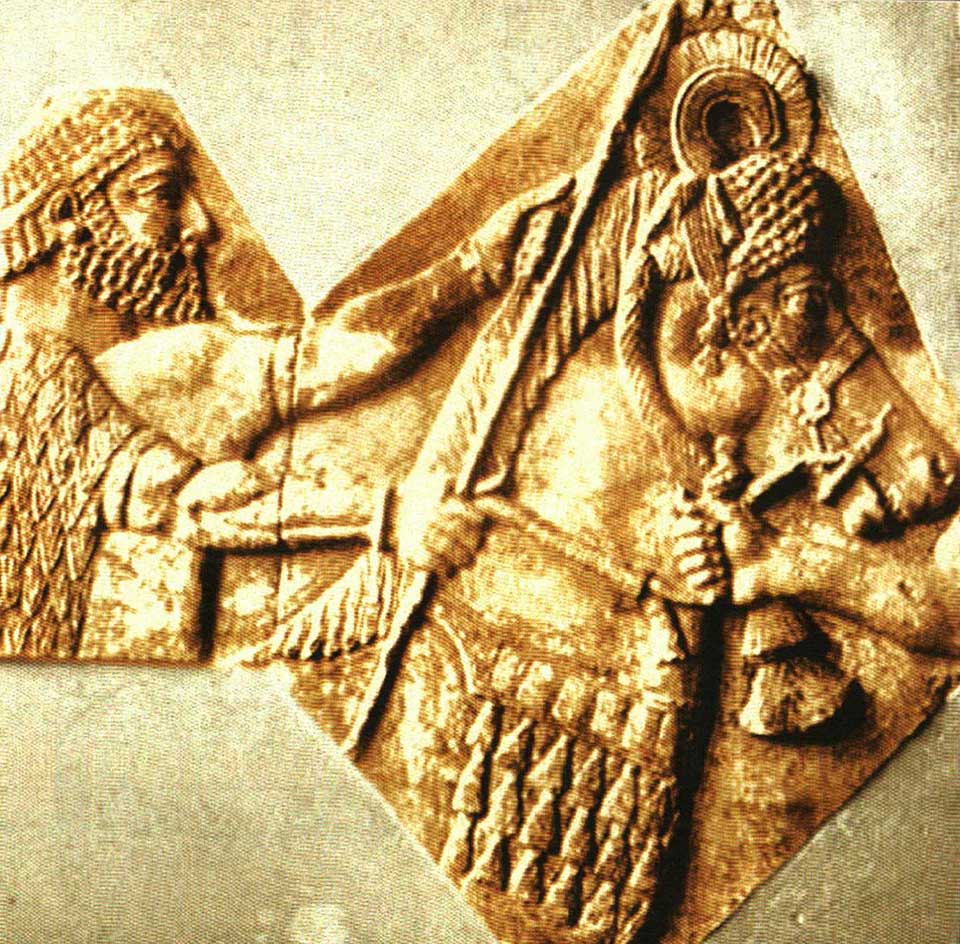 مادها پرورش دهندگان توانای اسب